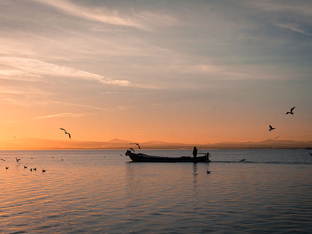 picture Sunset boat ride in la Albufera