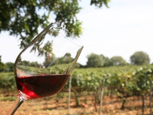 picture Wine tasting session 